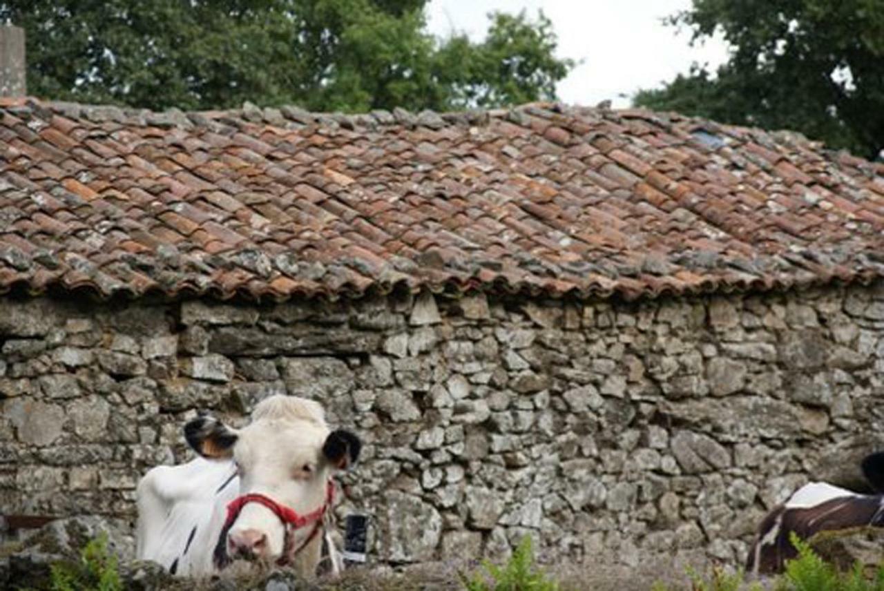 Stone Cottage Fisterra Curtis Exterior foto